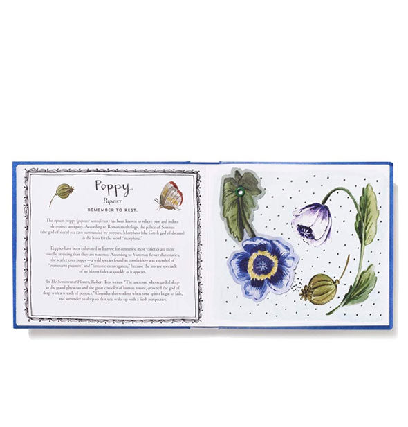 Page spread from Thinking of You features a section dedicated to the poppy alongside illustrations of the flower