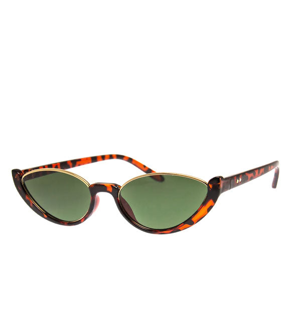 Black sunglasses with brown tortoise plastic temple arms and bottom rims and a gold metal top rim around green lenses