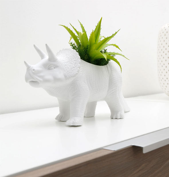 White porcelain triceratops planter on an office cabinet holds a green succulent