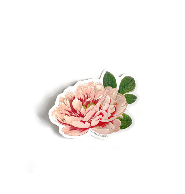 Pink peony flower sticker with green leaves and a white border