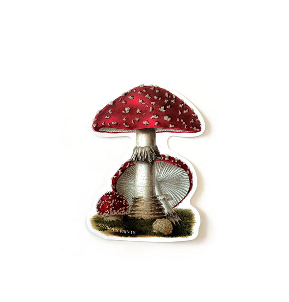 Sticker featuring intricate illustration of red-capped mushrooms with white spots