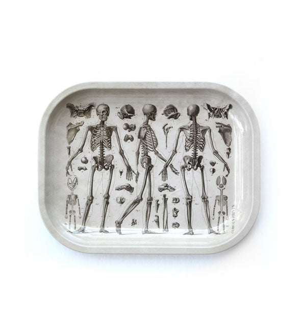 White rectangular tray with rounded corners features diagrams of skeletons and various bones