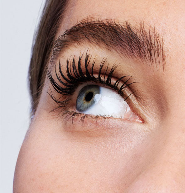 Closeup of a model's eye looking upward with dense, thick, dark eyelashes