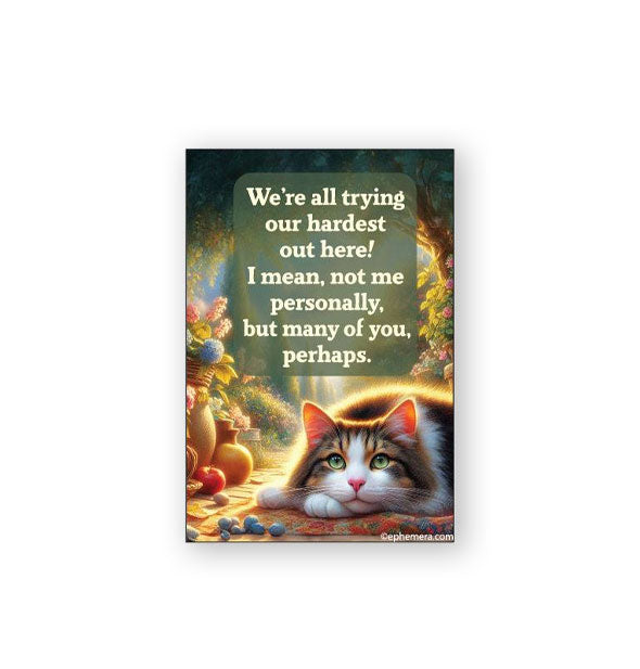 Rectangular magnet with wistful image of a cat laying down with its head on its paws says, "We're all trying our hardest out here! I mean, not me personally, but many of you, perhaps."