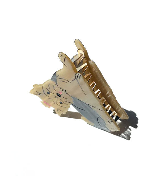 Teeth view of Yorkie hair claw clip