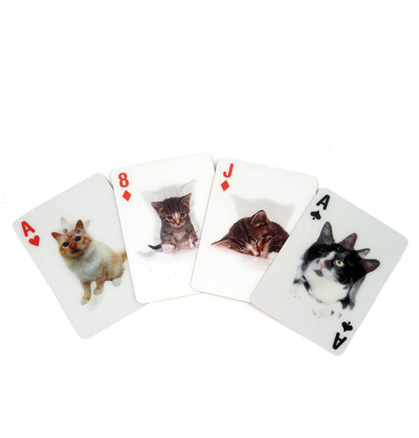 Sample spread of four playing cards with 3D cat images on them