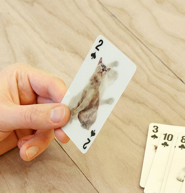 A player holds a two of spades playing card with a holographic cat image on it