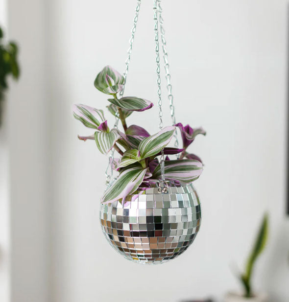 Medium 6-inch hanging disco ball planter