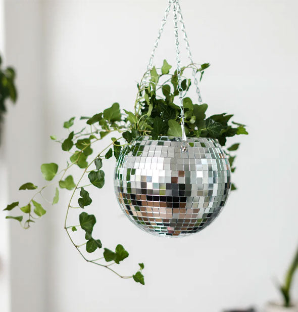 Large 8-inch hanging disco ball planter
