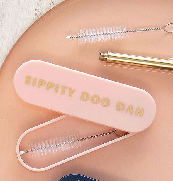 Components of the Skippity Doo Dah reusable straw kit