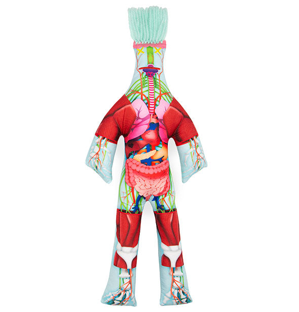 Stuffed doll with colorful anatomy design