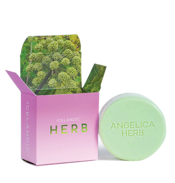 Hallo Iceland Angelica Herb Bar Soap