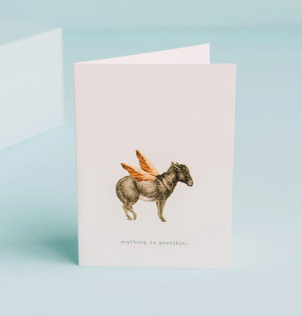 Anything Is Possible greeting card with winged donkey graphic