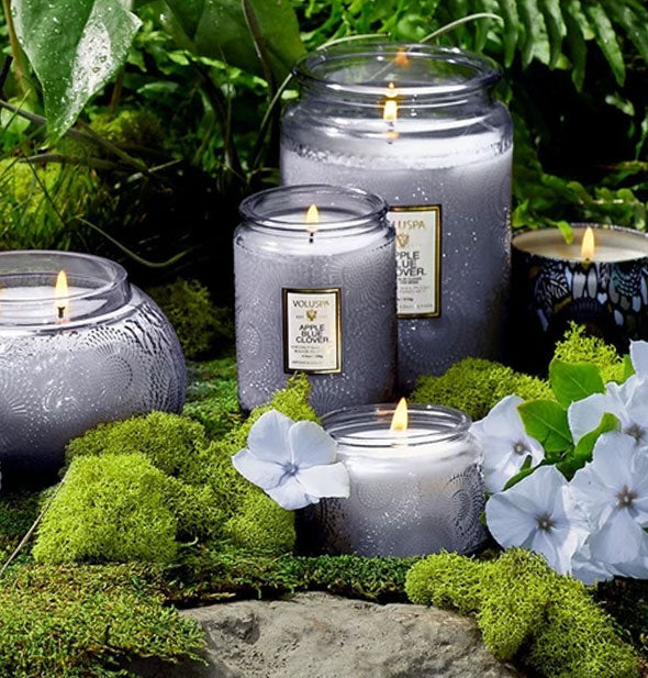 Apple Blue Clover Voluspa candles staged on a mossy surface with botanical backdrop