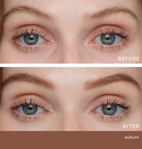 Model's eyebrows before and after applying Jane Iredale PureBrow Precision Pencil in Auburn