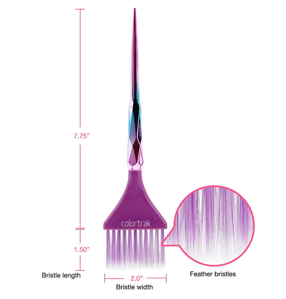 Diagram illustrates dimensions and feather bristle texture of the Aurora color brush by ColorTrak
