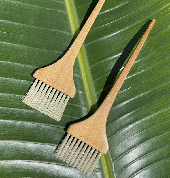Two bamboo color brushes lay on a green tropical leaf
