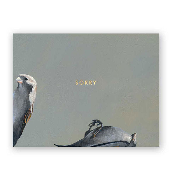 Greeting card with illustration of two birds, one of which appears to be dead, says, "Sorry" in the center in small gold lettering