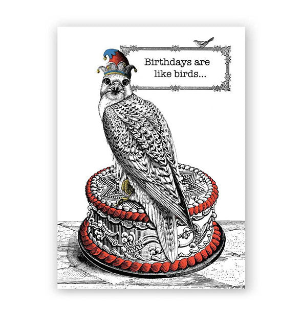 White greeting card with illustration of a hat-wearing pheasant sitting on an ornately decorated cake says, "Birthdays are like birds..."