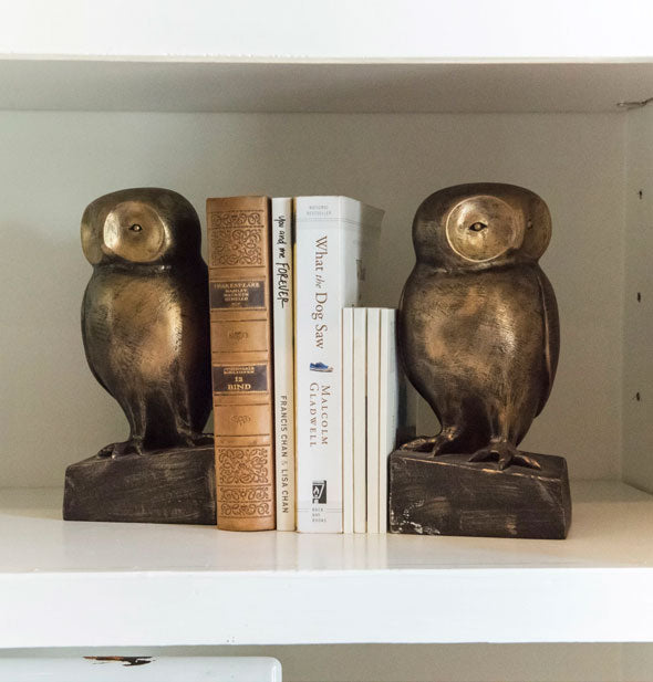 Two bronze-colored owl bookends sit on a shelf holding a small stack of books upright