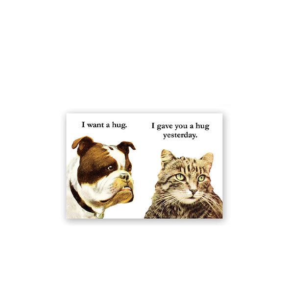 Rectangular white magnet with image of a bulldog appearing to say to a cat, "I want a hug" and the cat responding, "I gave you a hug yesterday."
