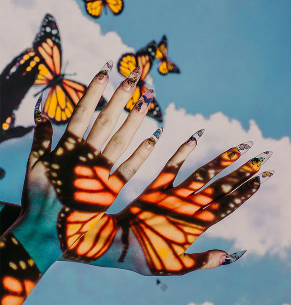 Hands wearing long fingernails are held in front of a blue sky and clouds background with monarch butterfly light cast on them