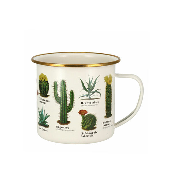 White campfire-style mug with gold rim features all-over illustrations of various labeled cacti