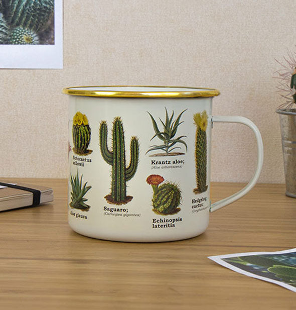 Cactus mug is staged on a wooden desktop with other items