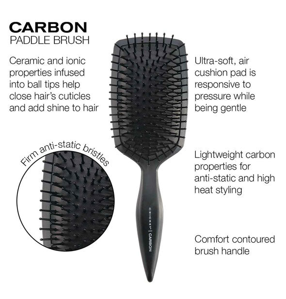 Labeled features of the Carbon Paddle Brush by Cricket