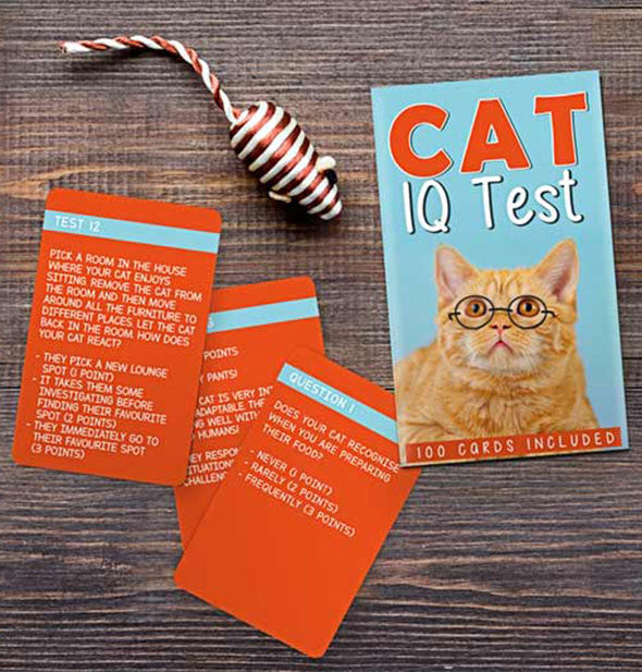 Samples from the Cat IQ test on wooden surface with mouse toy