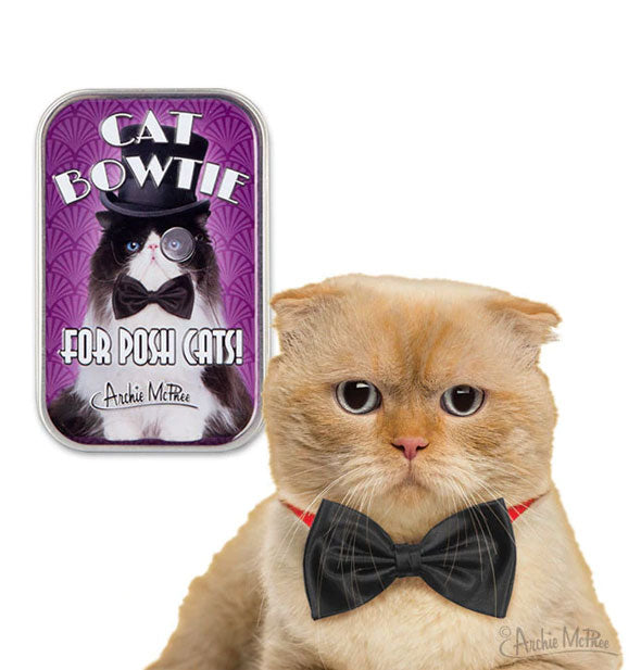 A yellow cat wearing a black bowtie on a red collar poses next to a Cat Bowtie (For Posh Cats!) box by Archie McPhee