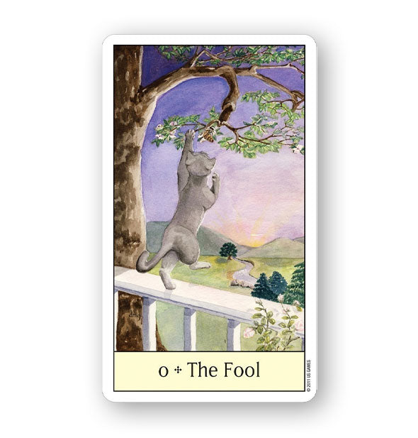 The Fool card from the Cat's Eye Tarot Deck features illustration of a grey cat on a white porch railing playing with an overhanging tree branch