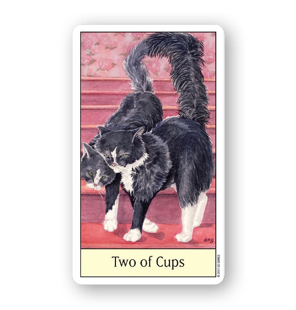 Two of Cups card from the Cat's Eye Tarot Deck features illustration of two black and white cats nuzzling against a red background