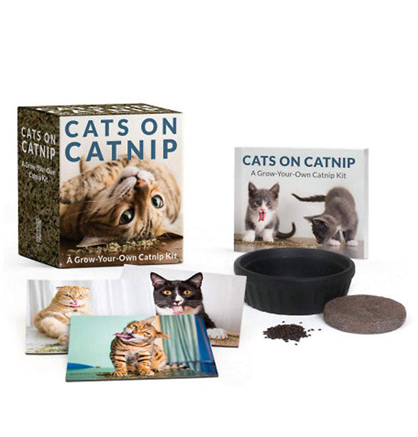 Contents of Cats on Catnip: A Grow-Your-Own Catnip Kit