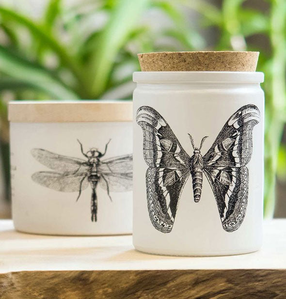 White glass moth candles, one with a wooden lid and one with a cork lid, sit on a wooden tabletop in front of green foliage