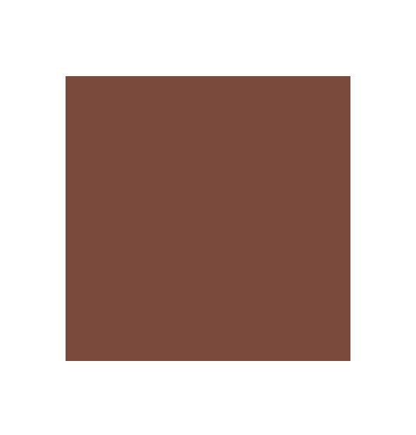 Brown color swatch