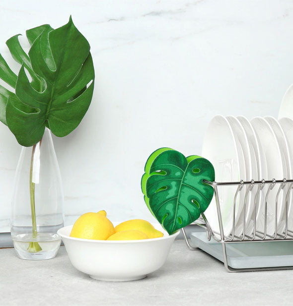 Monstera leaf dish sponge hangs from a metal dish rack next to a bowl of lemons and monstera leaf in a clear glass vase