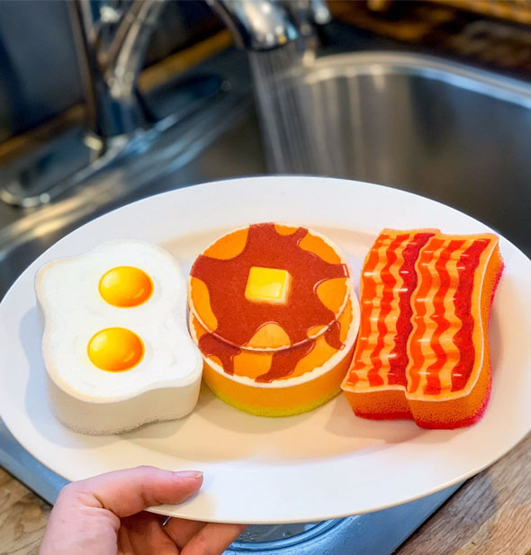 Model's hand holds a plate with eggs, pancakes, and bacon dish sponges on it over a kitchen sink