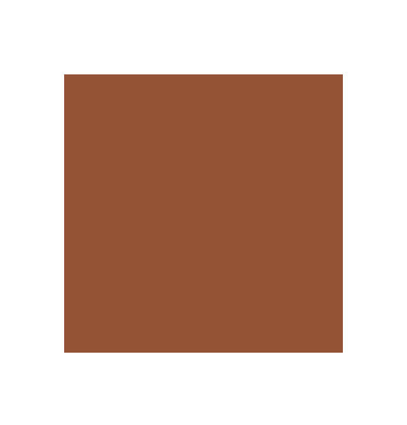Brown color swatch