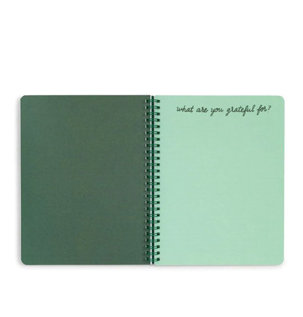 Open notebook with spiral-bound green centerfold pages, one of which says, "What are you grateful for?" at the top in dark green script