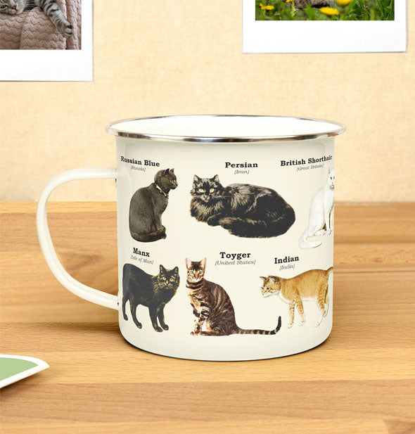 Cat breeds mug on a wooden tabletop