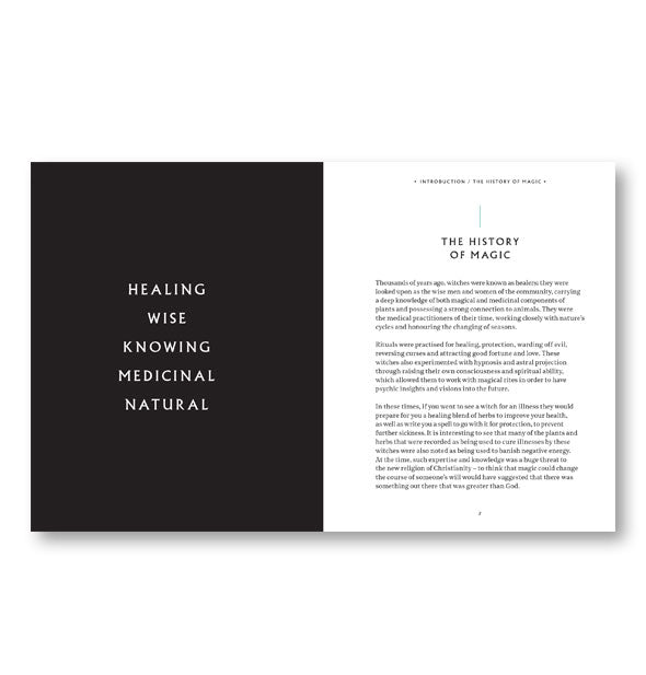 Page spread from Everyday Magic features a chapter on The History of Magic and type to the left that reads, "Healing, Wise, Knowing, Medicinal, Natural"