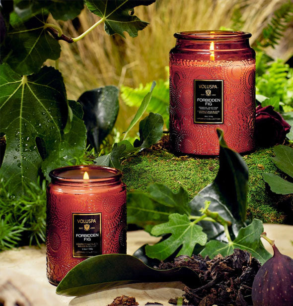 Small and large brown embossed glass candles staged with moss, fig leaves, and other botanicals