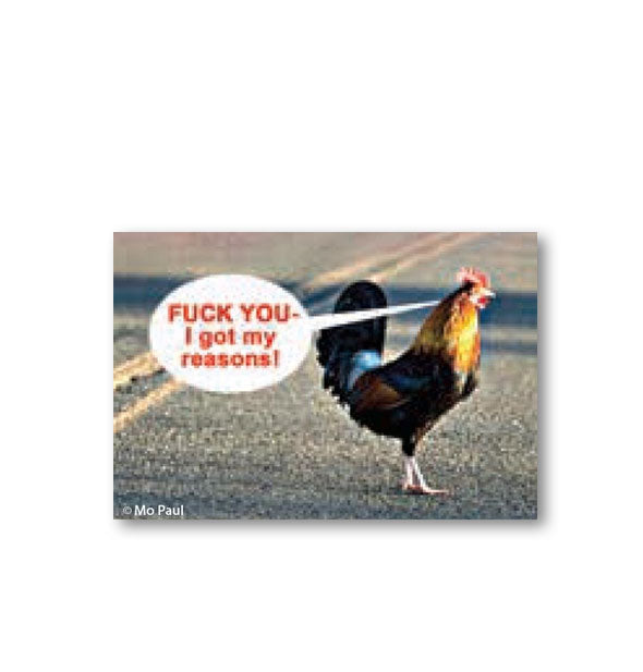Rectangular magnet with image of a chicken crossing a road saying, "FUCK YOU - I got my reasons!"