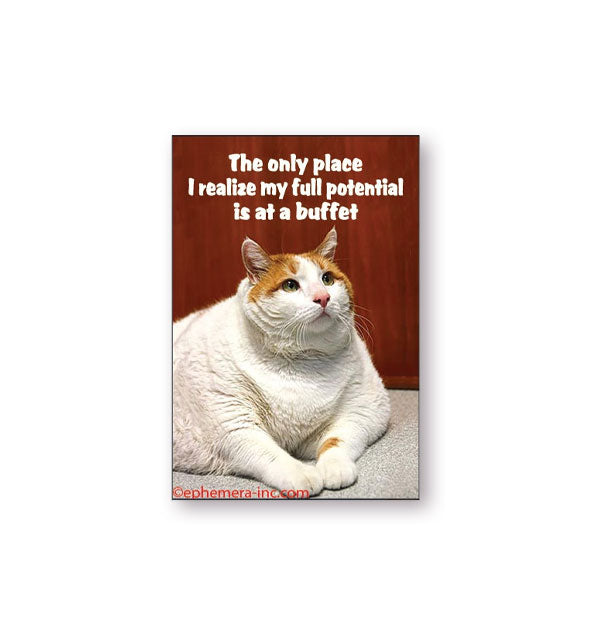 Rectangular magnet with image of an adorable fat cat says, "The only place I realize my full potential is at a buffet"