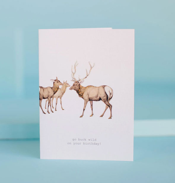 White greeting card with does and buck illustration says, "Go buck wild on your birthday!"