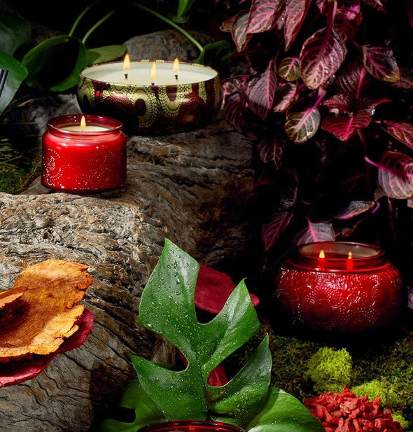 Lit embossed red glass and decorative tin candles are staged with rustic, woody, botanical elements