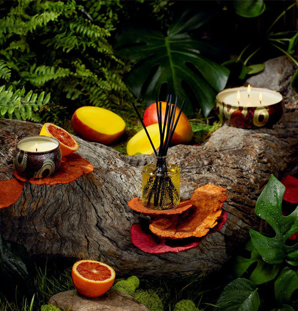 Decorative tin Voluspa candles and embossed glass reed diffuser are staged with brightly colored fruits on a woody backdrop