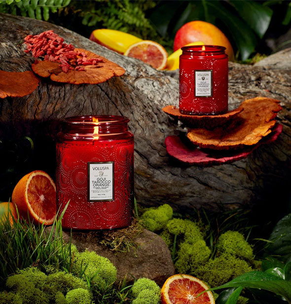 Large and small red embossed glass Goji Tarocco Orange Voluspa candles are staged with mushrooms, moss, and grapefruit on a botanical backdrop