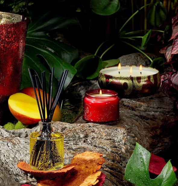 Decorative red and gold tin candle, embossed red glass jar candle, and embossed glass reed diffuser are staged with fruit and botanical elements